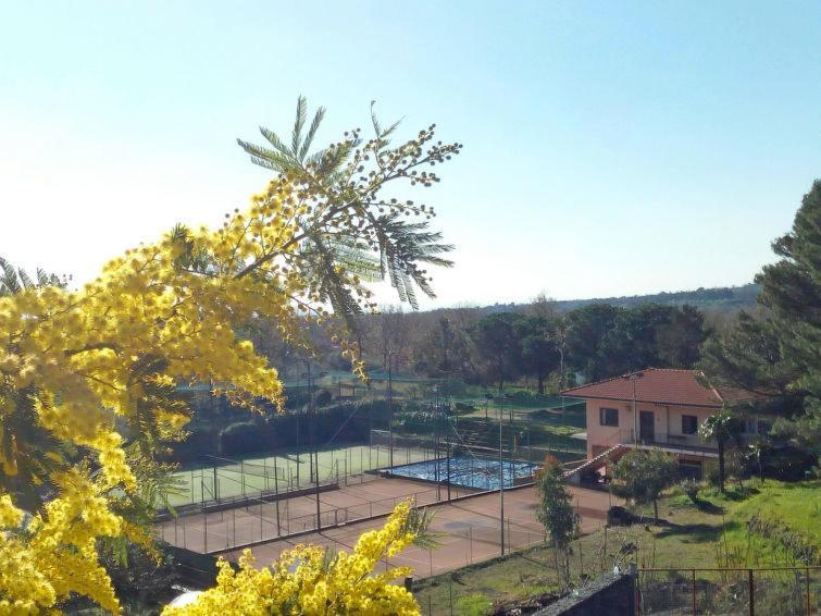 Villa Mimosa Zafferana Etnea Exteriér fotografie